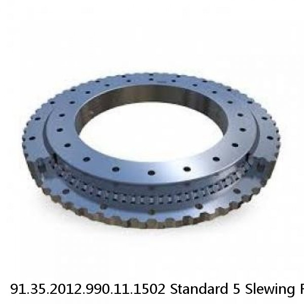 91.35.2012.990.11.1502 Standard 5 Slewing Ring Bearings