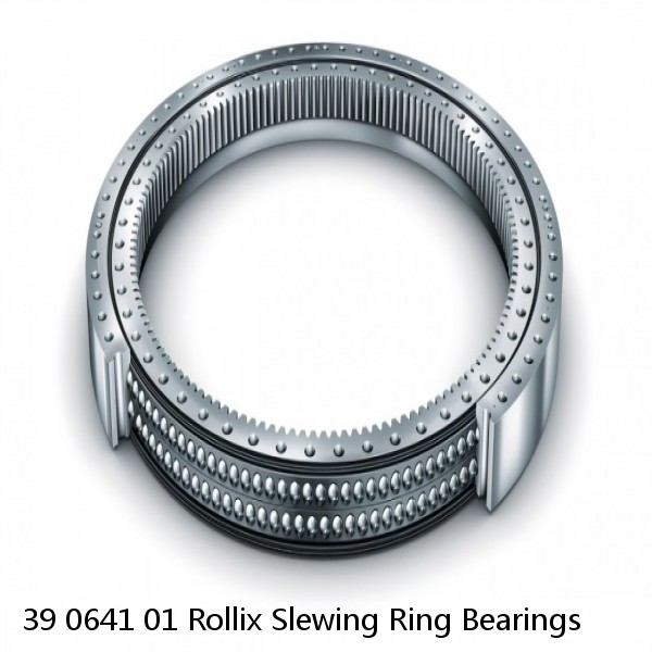 39 0641 01 Rollix Slewing Ring Bearings