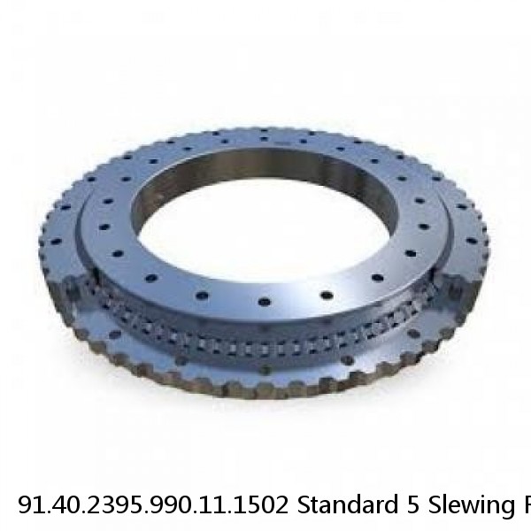 91.40.2395.990.11.1502 Standard 5 Slewing Ring Bearings