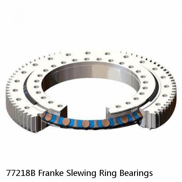 77218B Franke Slewing Ring Bearings