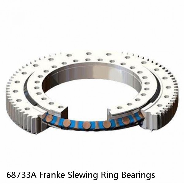 68733A Franke Slewing Ring Bearings