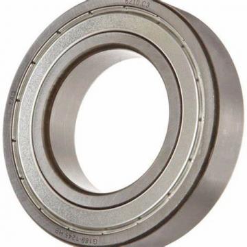 Groove Ball Bearing 6010 (61826 61826 61810 61910 61811 61911 6805 8907 6908 6803 6010 6012 6201 6202 6206 6210 6220 6230 6240)