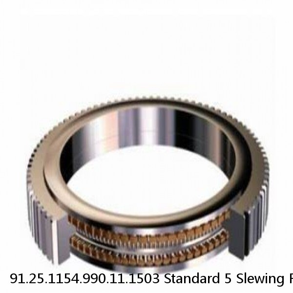 91.25.1154.990.11.1503 Standard 5 Slewing Ring Bearings