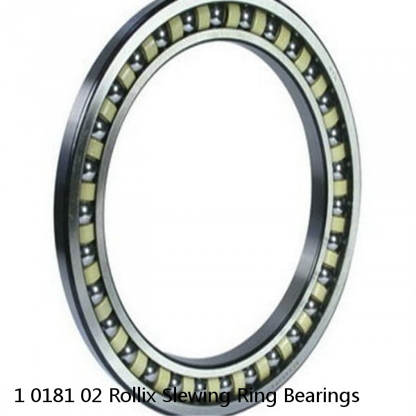 1 0181 02 Rollix Slewing Ring Bearings