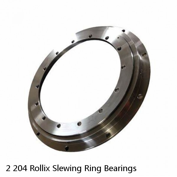 2 204 Rollix Slewing Ring Bearings