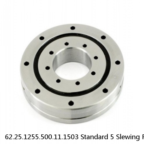 62.25.1255.500.11.1503 Standard 5 Slewing Ring Bearings