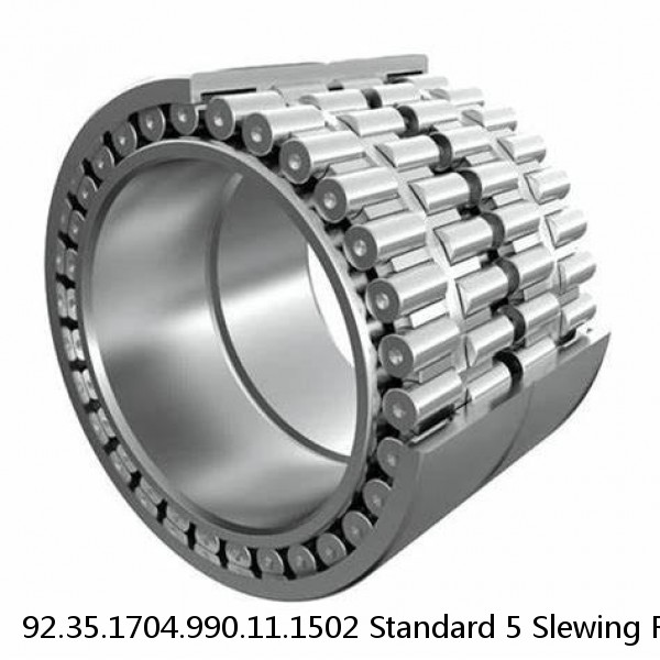 92.35.1704.990.11.1502 Standard 5 Slewing Ring Bearings