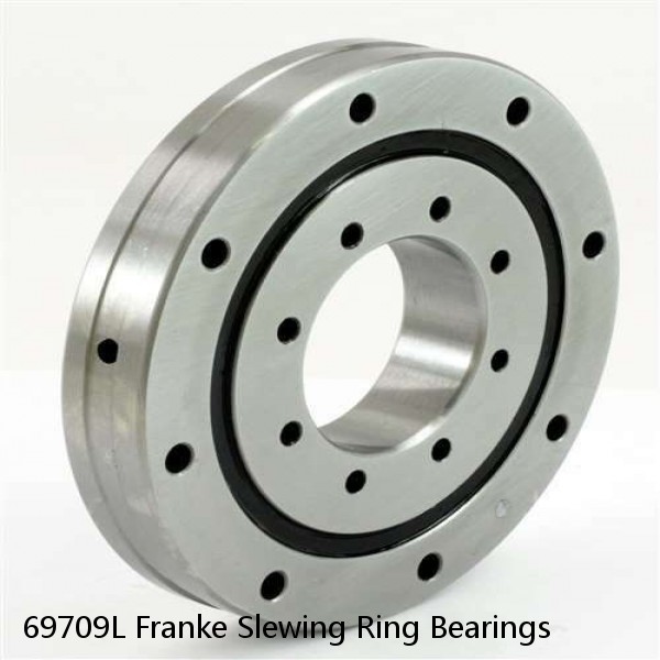 69709L Franke Slewing Ring Bearings