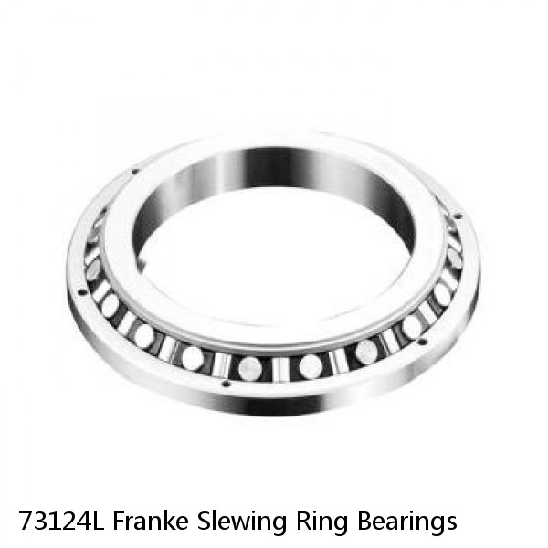 73124L Franke Slewing Ring Bearings