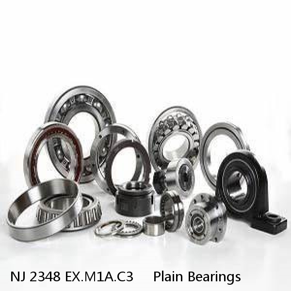 NJ 2348 EX.M1A.C3     Plain Bearings