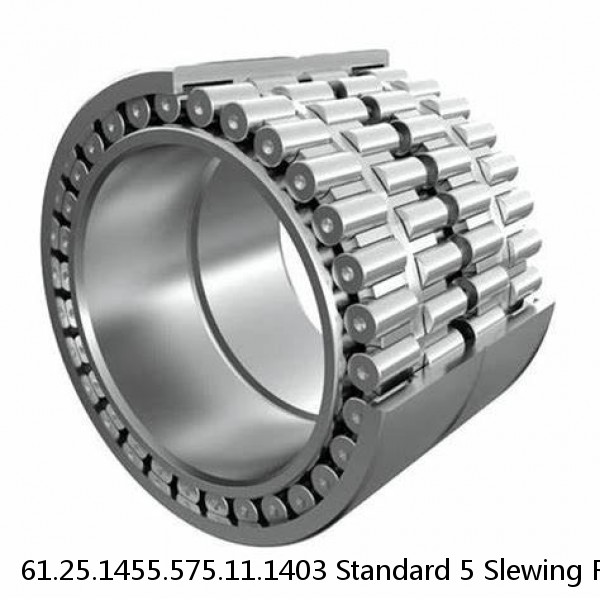 61.25.1455.575.11.1403 Standard 5 Slewing Ring Bearings