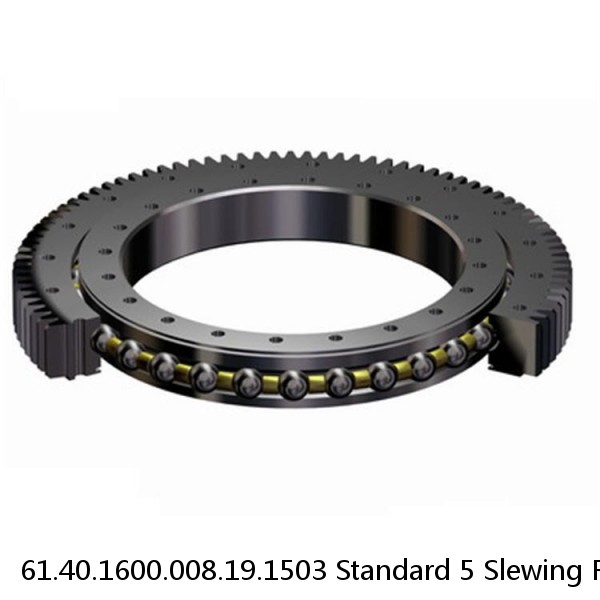 61.40.1600.008.19.1503 Standard 5 Slewing Ring Bearings