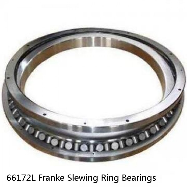 66172L Franke Slewing Ring Bearings