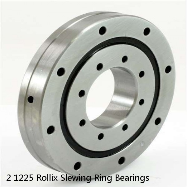 2 1225 Rollix Slewing Ring Bearings