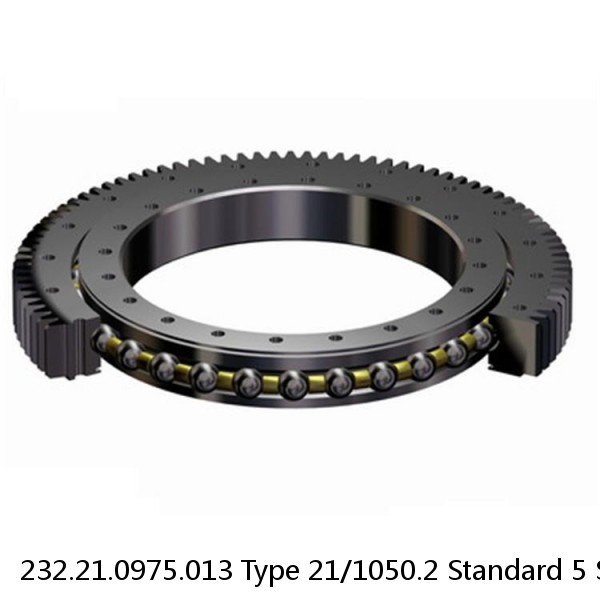 232.21.0975.013 Type 21/1050.2 Standard 5 Slewing Ring Bearings