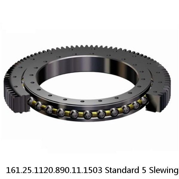 161.25.1120.890.11.1503 Standard 5 Slewing Ring Bearings