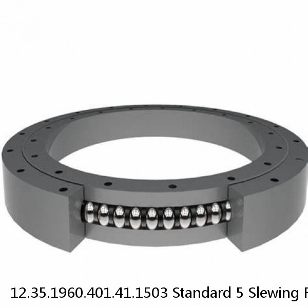 12.35.1960.401.41.1503 Standard 5 Slewing Ring Bearings