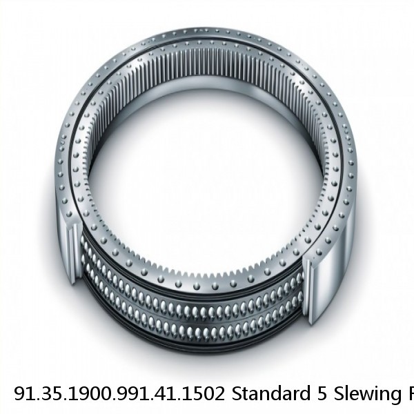 91.35.1900.991.41.1502 Standard 5 Slewing Ring Bearings