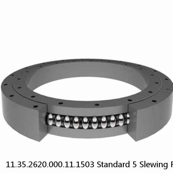 11.35.2620.000.11.1503 Standard 5 Slewing Ring Bearings