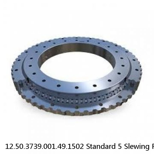 12.50.3739.001.49.1502 Standard 5 Slewing Ring Bearings