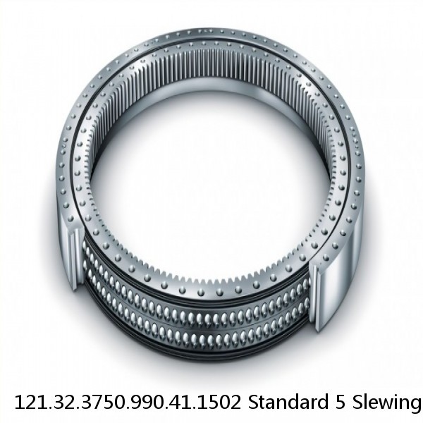 121.32.3750.990.41.1502 Standard 5 Slewing Ring Bearings