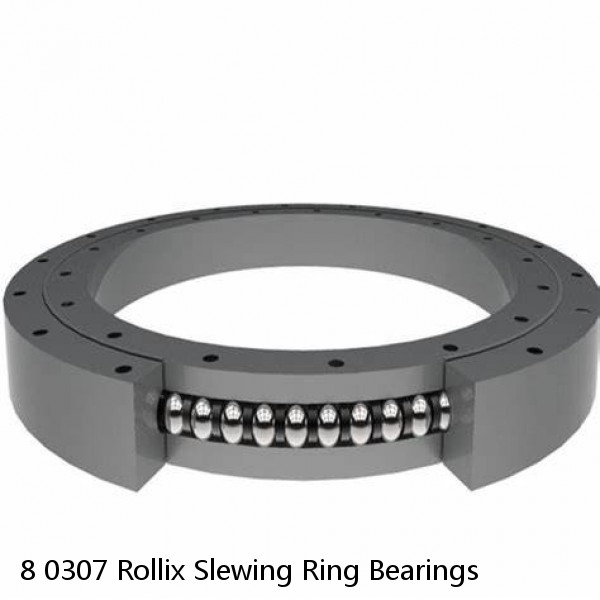 8 0307 Rollix Slewing Ring Bearings