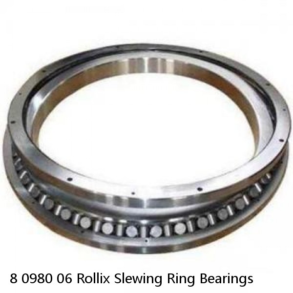 8 0980 06 Rollix Slewing Ring Bearings