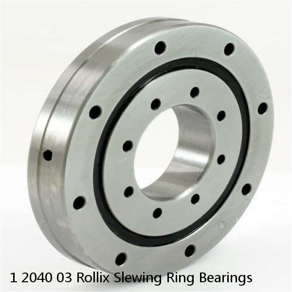 1 2040 03 Rollix Slewing Ring Bearings