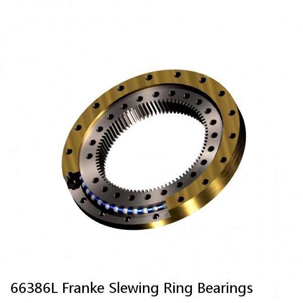 66386L Franke Slewing Ring Bearings