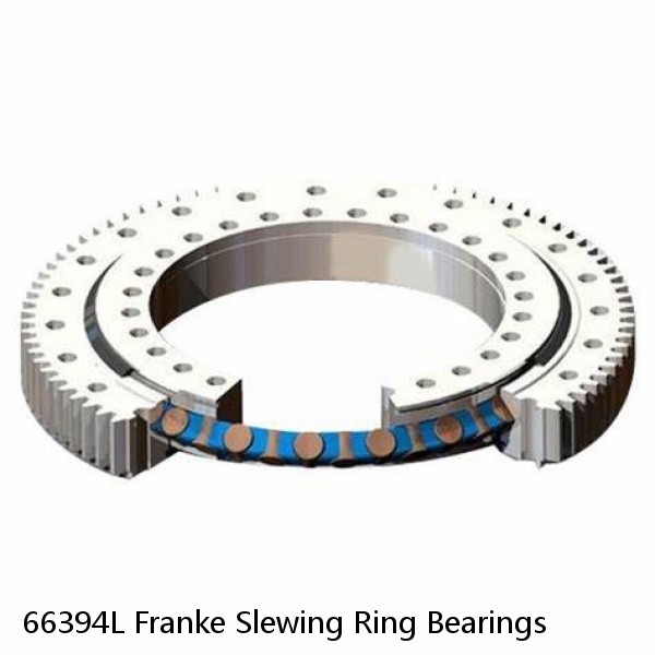 66394L Franke Slewing Ring Bearings