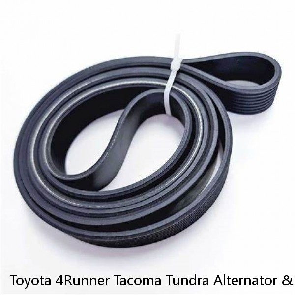 Toyota 4Runner Tacoma Tundra Alternator & Fan Drive Multi-Rib Serpentine Belt