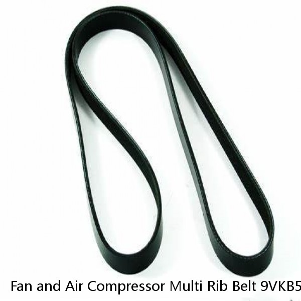 Fan and Air Compressor Multi Rib Belt 9VKB52 for 4200 4200LP 4300 4400 2002 2003