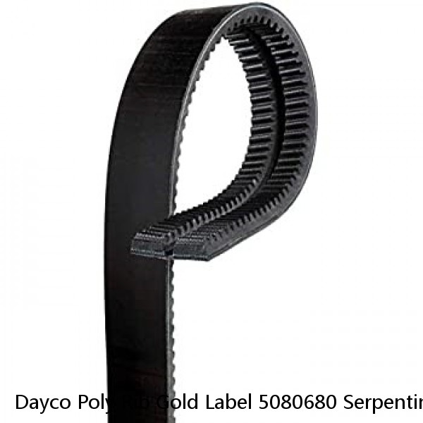 Dayco Poly Rib Gold Label 5080680 Serpentine Belt