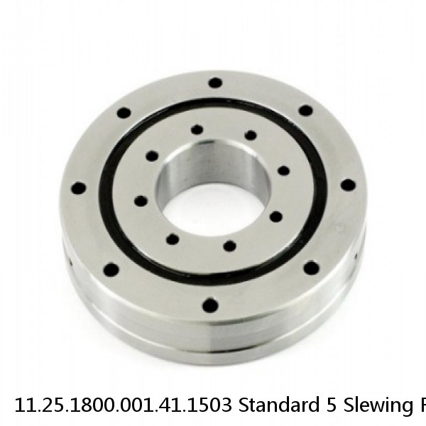 11.25.1800.001.41.1503 Standard 5 Slewing Ring Bearings